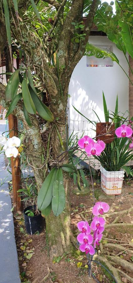 Suites No Paraiso Da Ilhabela Exteriér fotografie
