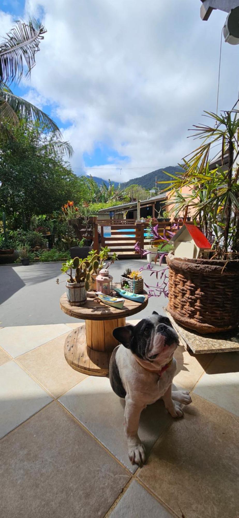 Suites No Paraiso Da Ilhabela Exteriér fotografie